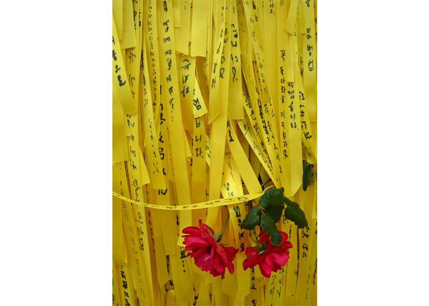 Yellow ribbons and flowers placed on the fence surrounding where the Sewol is in dry dock in Mokpo, South Korea.